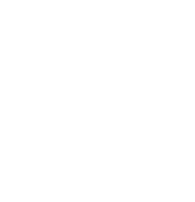 MEF logo